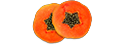 papaya_miniheader